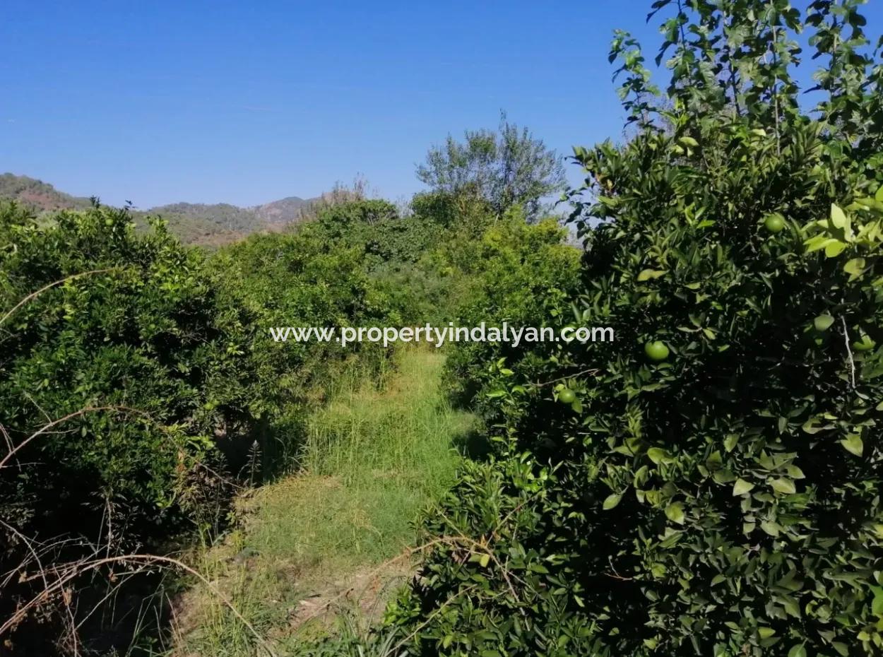 Plot For Sale In Ortaca On The Road To Zero