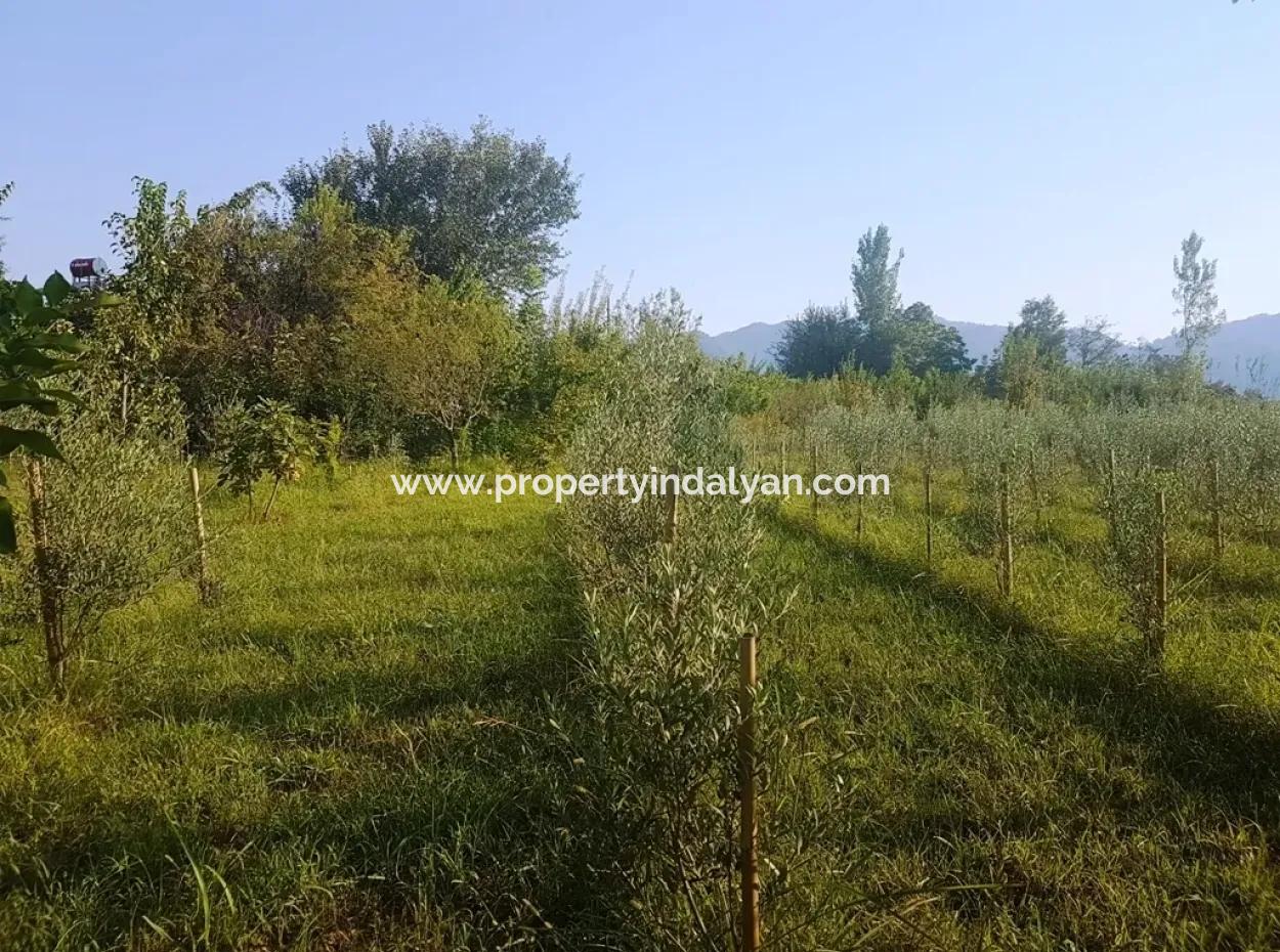 Bargain Plot For Sale In Beyoba