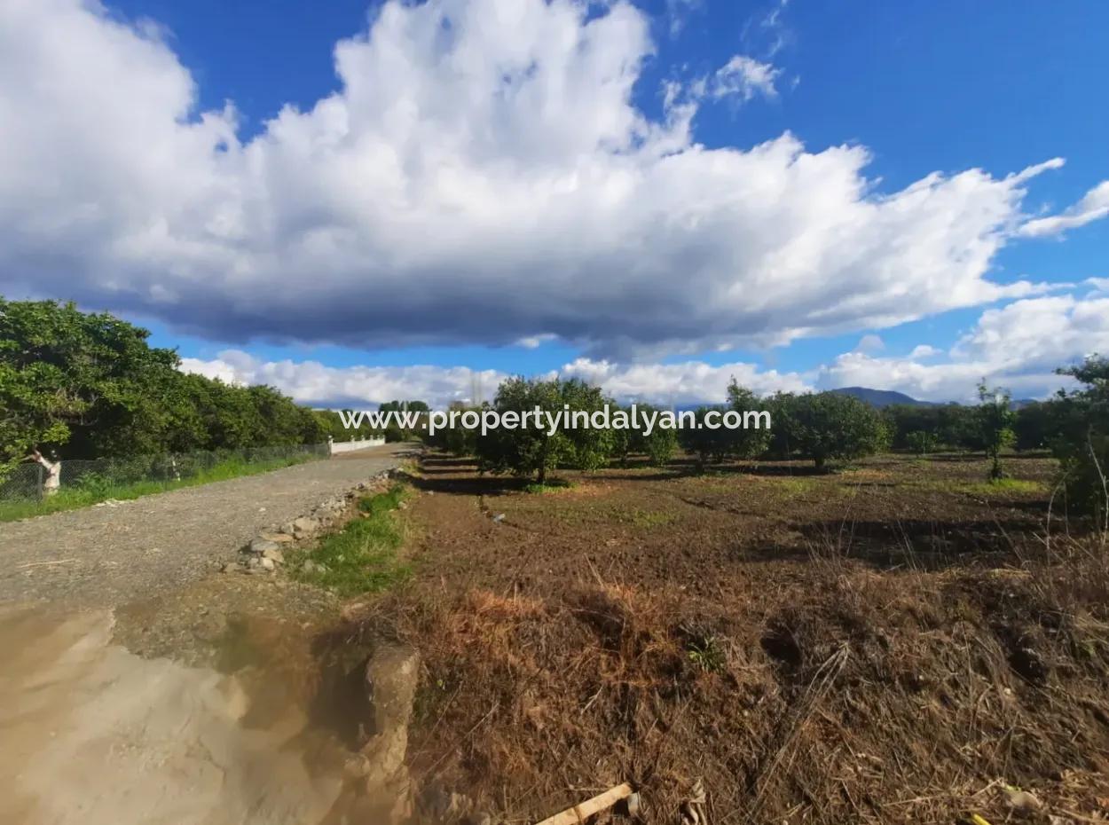 20.000 M2 In Muğla Ortaca Okçular Marmarlı, Land For Sale In The Zoning Plan