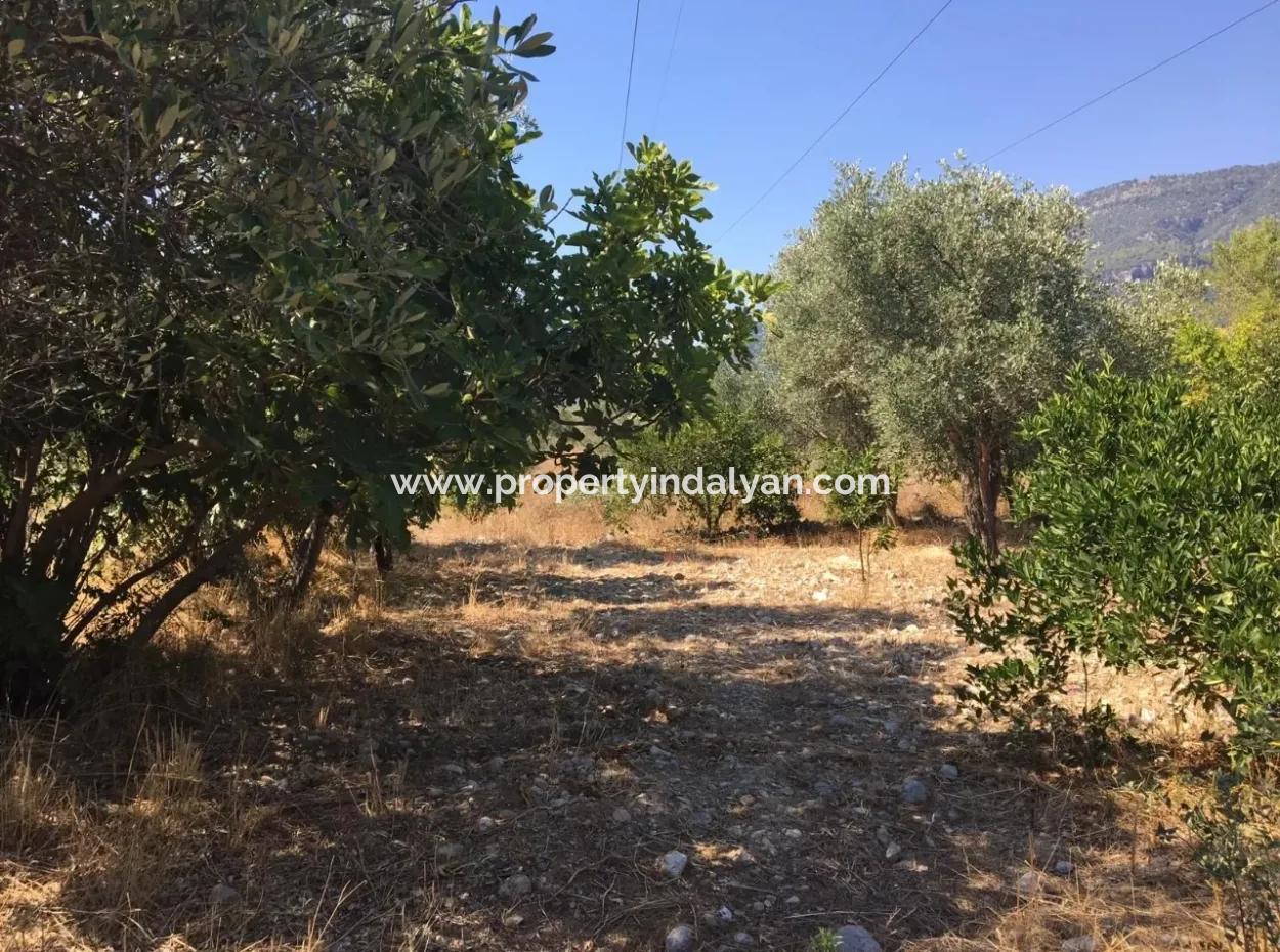 Lake View Land For Sale At Zeytinalani