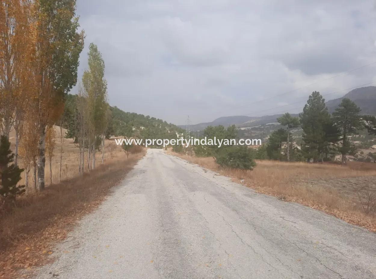 6 230 M2 Fertile Land For Rent In Çameli Cumaalanı