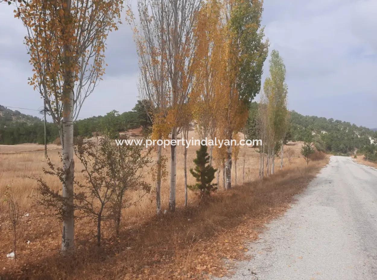 6 230 M2 Fertile Land For Rent In Çameli Cumaalanı