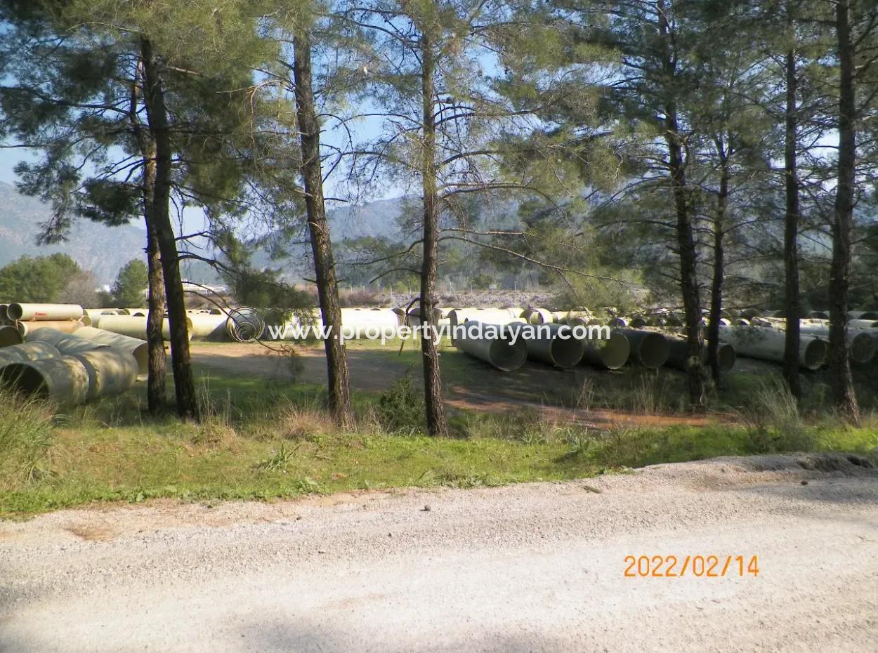 20,498 M2 Fertile, Water's Edge, Bargain Field For Sale In Ortaca Çaylı, Muğla