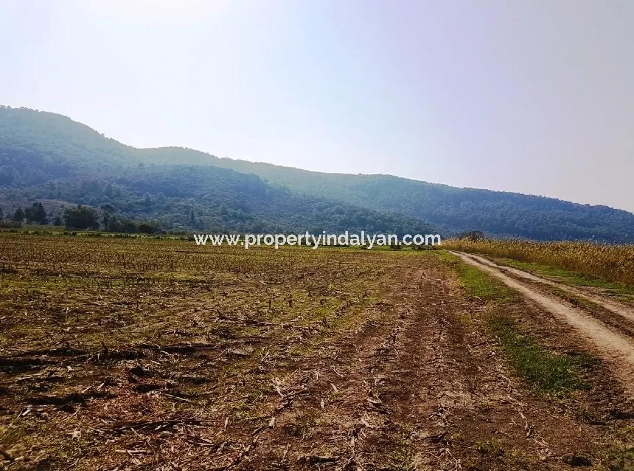 Region Of Fertile Land Rental