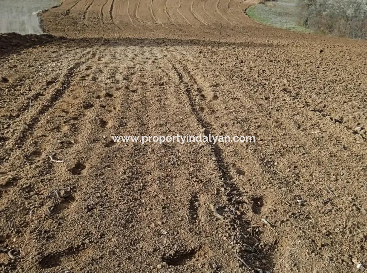 Detached, Fertile, 3 500 M2 Flat Land For Sale In Acıpayam Çakır