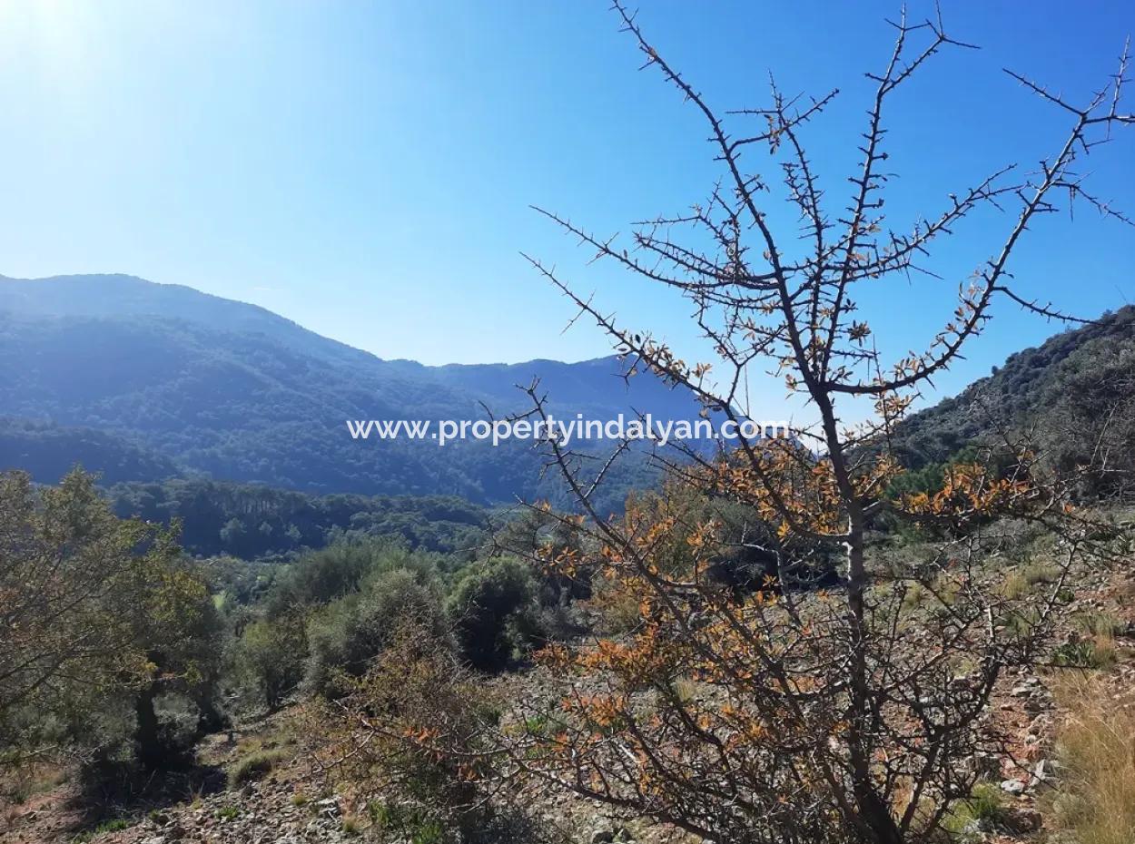 Muğla Ortaca Dalyan Gökbelde 3 100 M2 2B Land Property Right Will Be Transferred