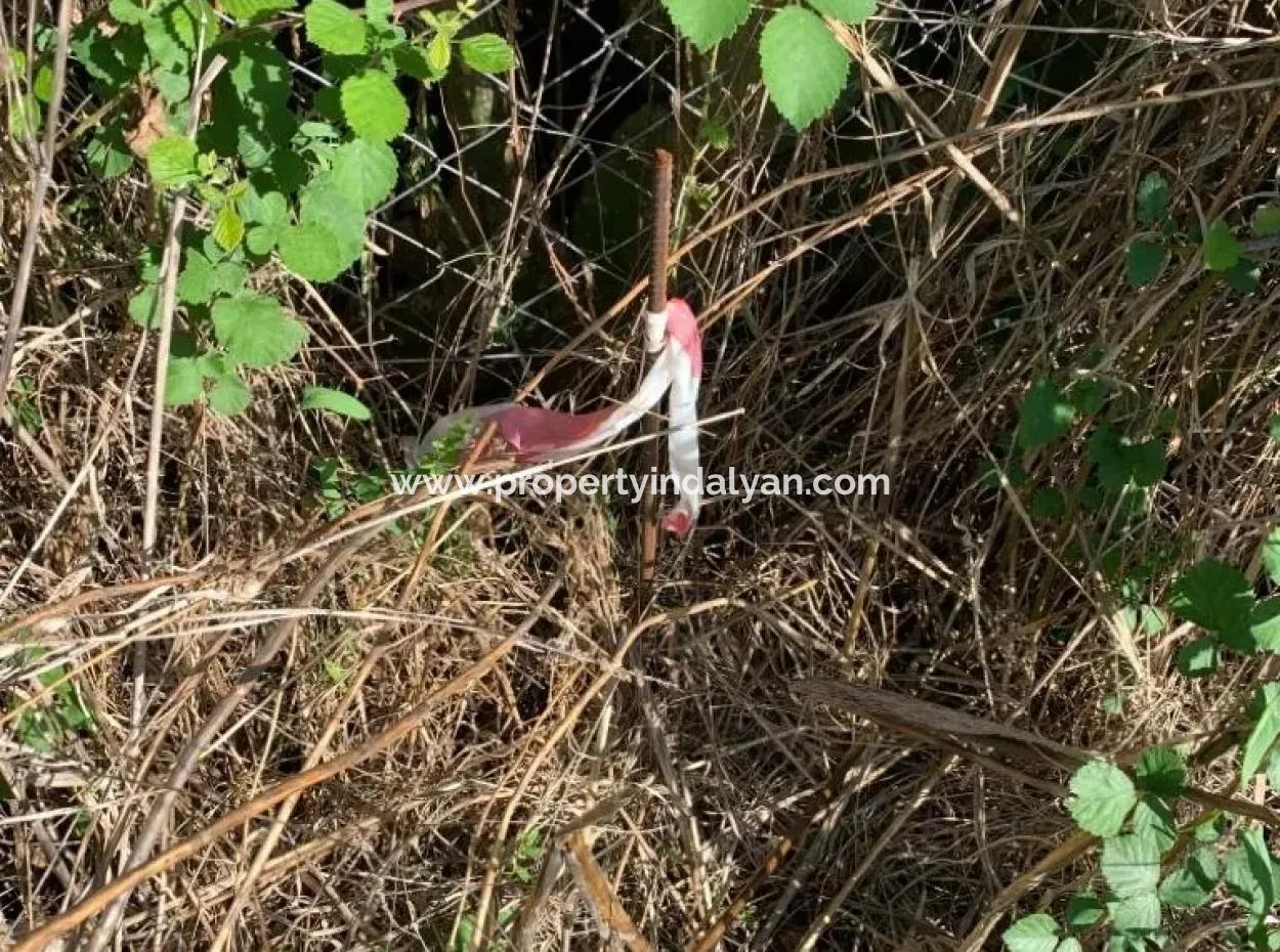 For Sale Land For Sale In Mergenli