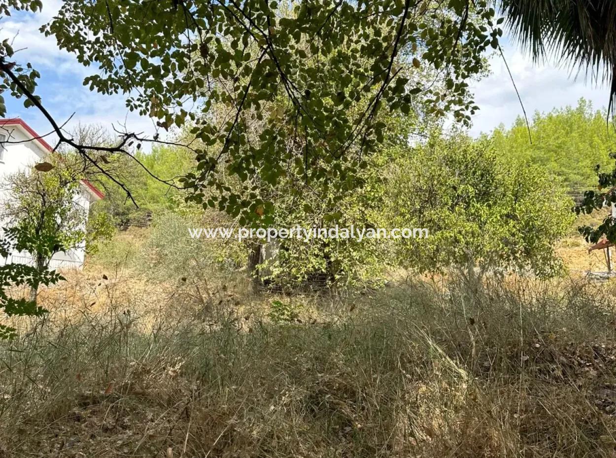 For Sale And In Koycegiz 1026 M2