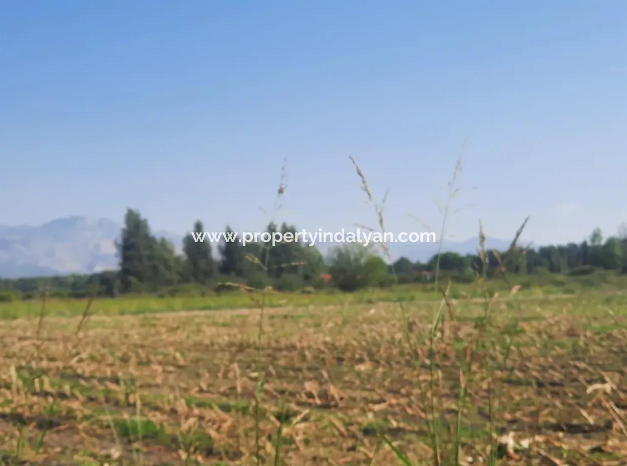 2 650 M2 Fertile Land For Sale In Köyceğiz Poplar