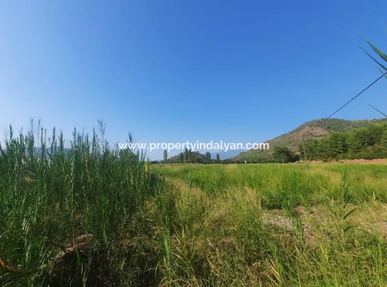Muğla Ortaca Ekşiliyurt 8.000 M2 Fertile Land For Sale