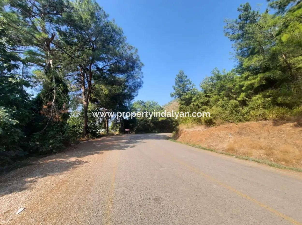 Muğla Ortaca Ekşiliyurt 8.000 M2 Fertile Land For Sale