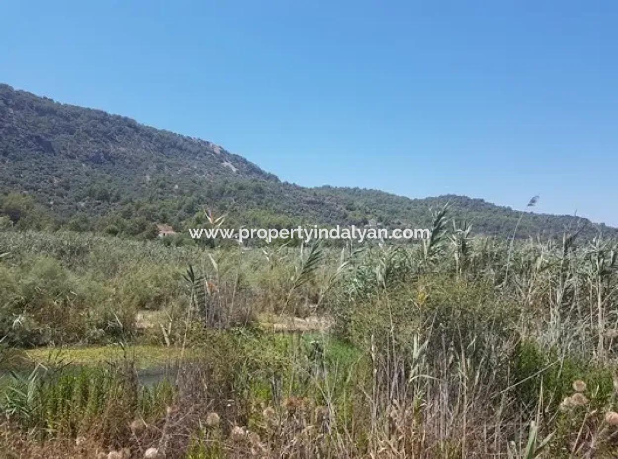 14.300 M² Land Suitable For Investment In Ortaca Sarıgerme, Muğla