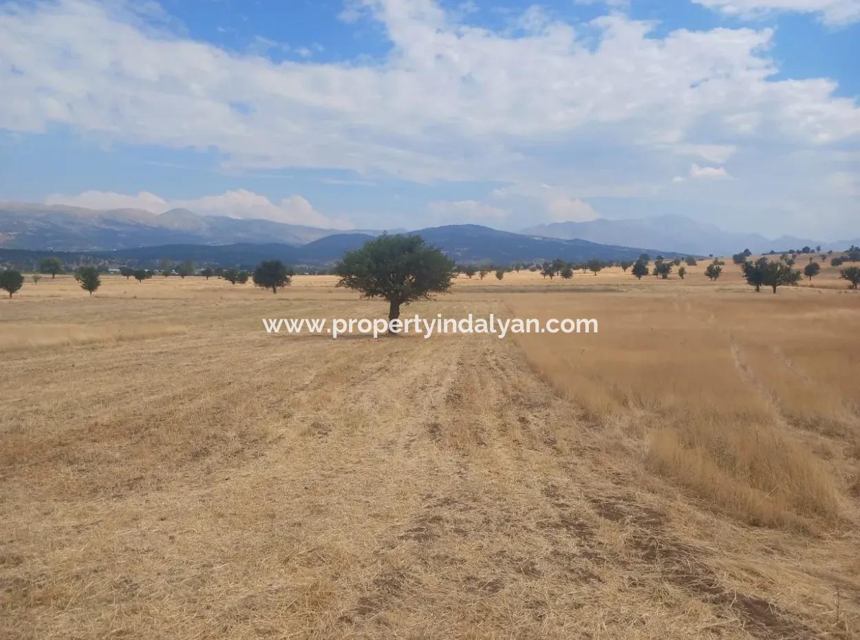 Muğla Seydikemer Yayla Karaçulhada 2 380 M2 Detached Fertile Bargain Land For Sale Or Exchange