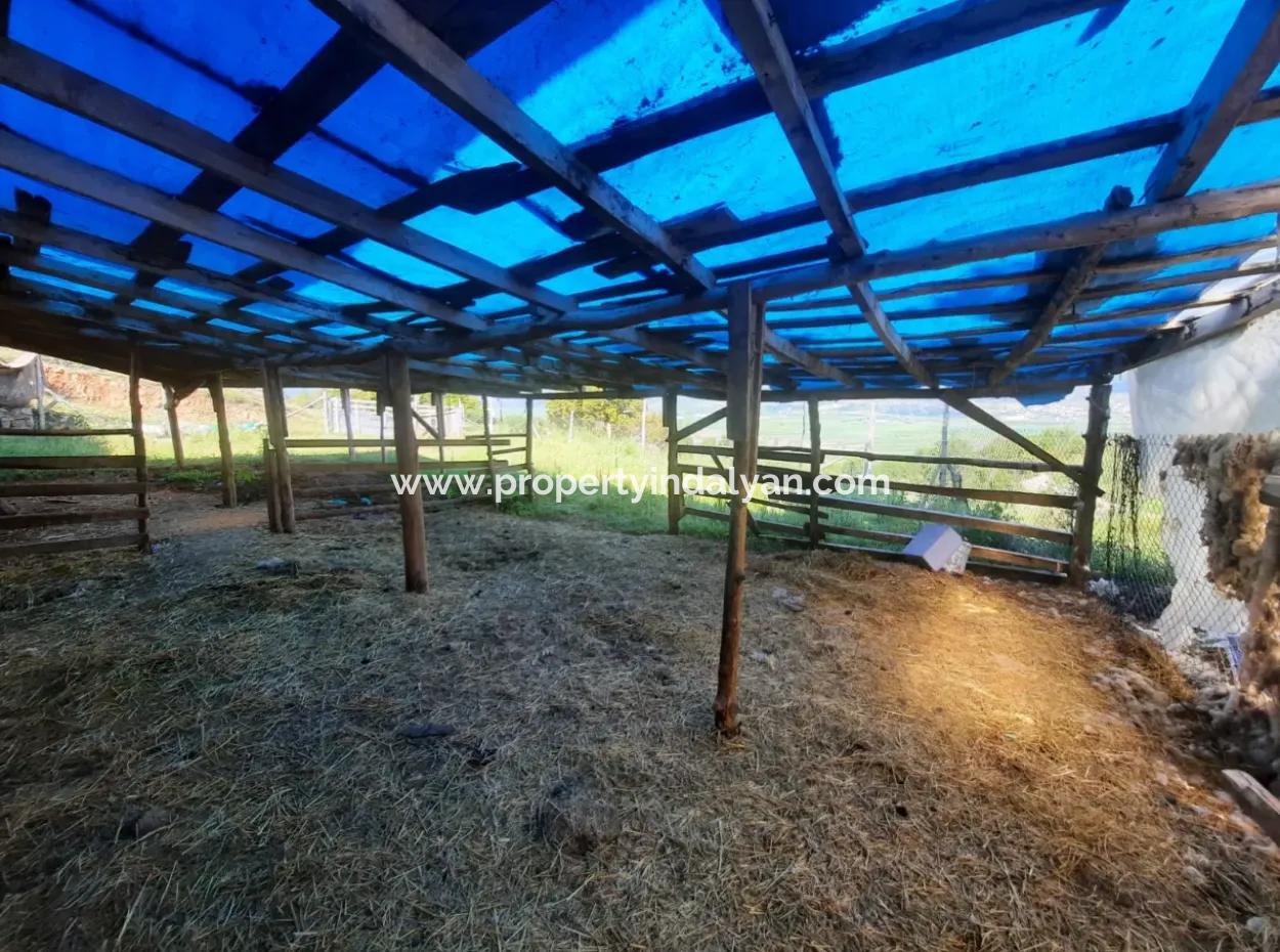 5 000 M2 Land In Çameli Kızılyaka 2 In 1 Detached House, And Barn For Rent