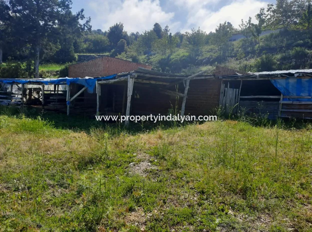 5 000 M2 Land In Çameli Kızılyaka 2 In 1 Detached House, And Barn For Rent