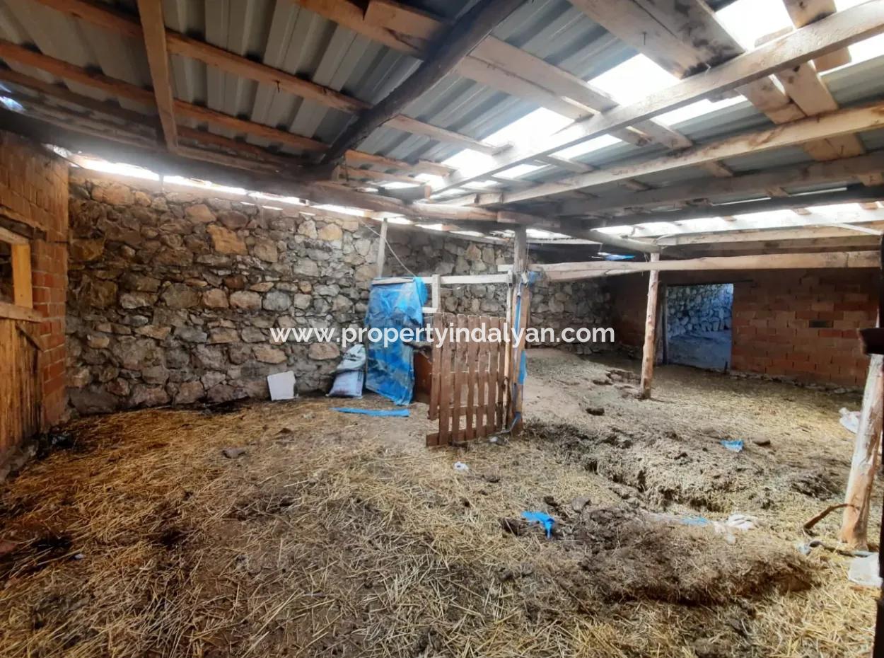 5 000 M2 Land In Çameli Kızılyaka 2 In 1 Detached House, And Barn For Rent
