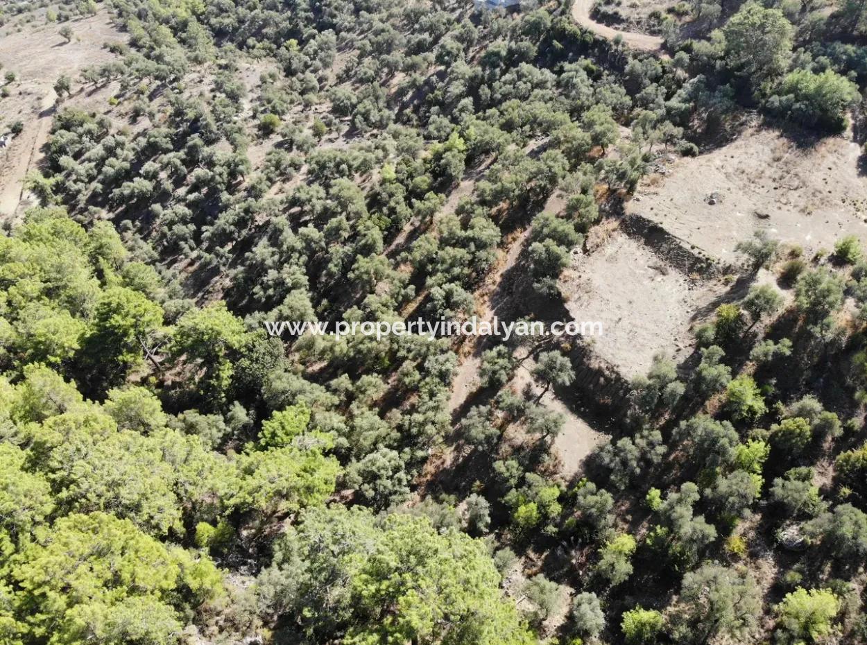 For Sale 403 M2 Plot Of Land In Sarigerme