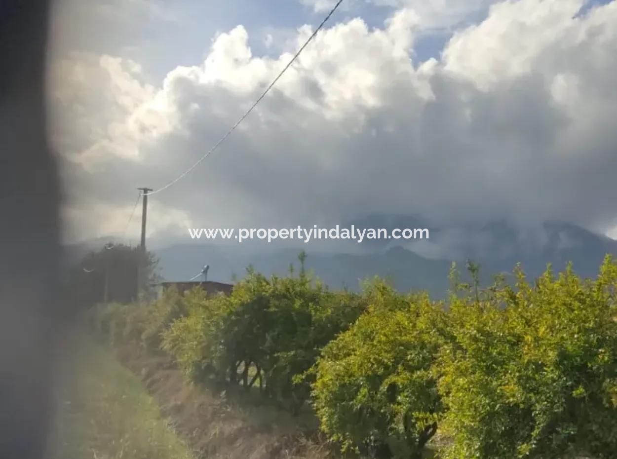 7833 M2 Detached Field For Sale In Muğla Ortaca Eskiköy