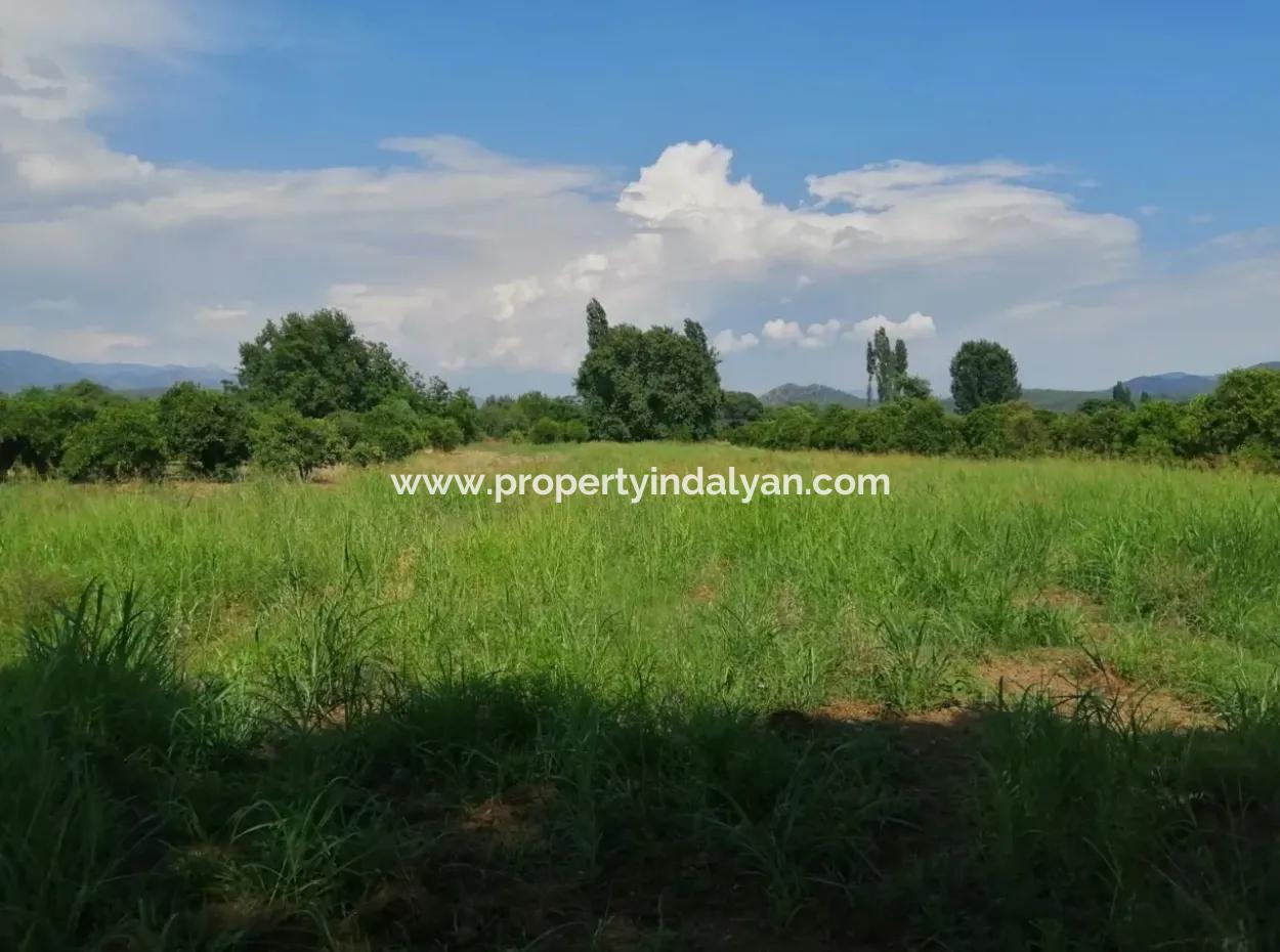 Farm For Sale In Köyceğiz Beyoba Bargain