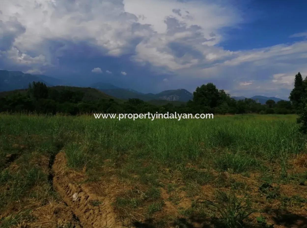 Farm For Sale In Köyceğiz Beyoba Bargain