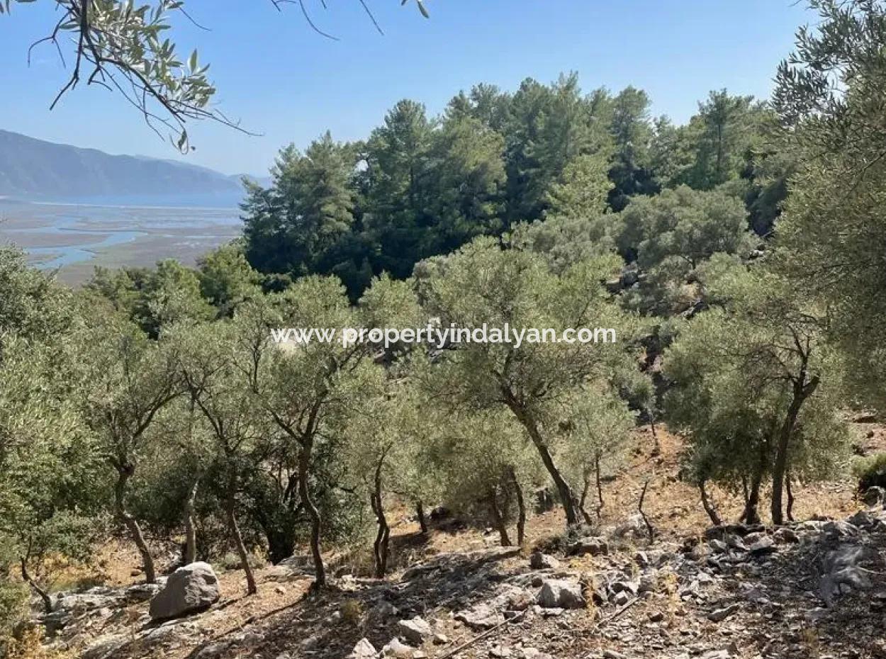 5000 M2 2B Field For Sale