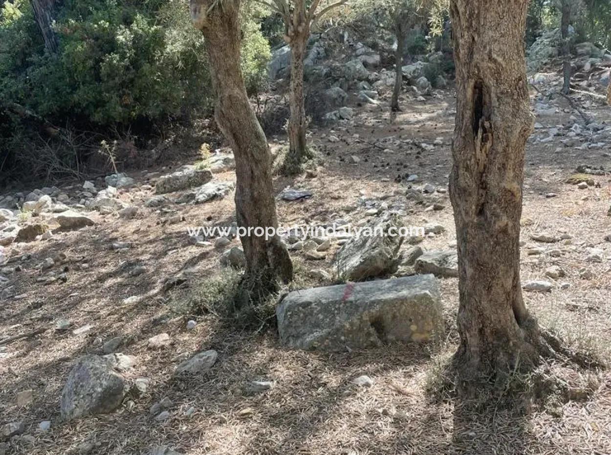 5000 M2 2B Field For Sale