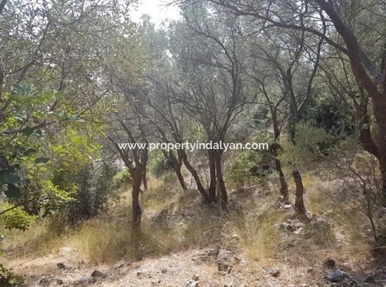 Excellent Plot For Sale Bargain