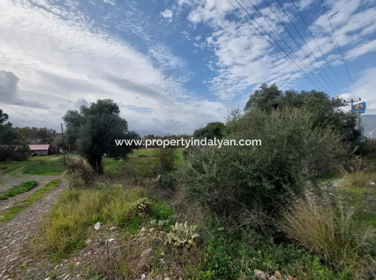 7 769 M2 Land For Sale In Köyceğiz Olive Area, Suitable For Investment By Zero To The Main Road With Lake View