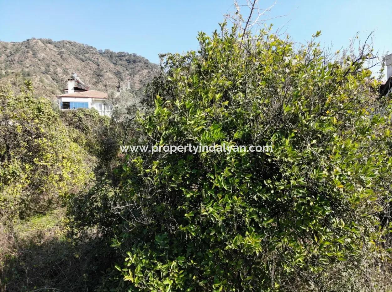 Ortacada Main Road Facade 850 M2 Commercial Residential Zoned Land For Sale