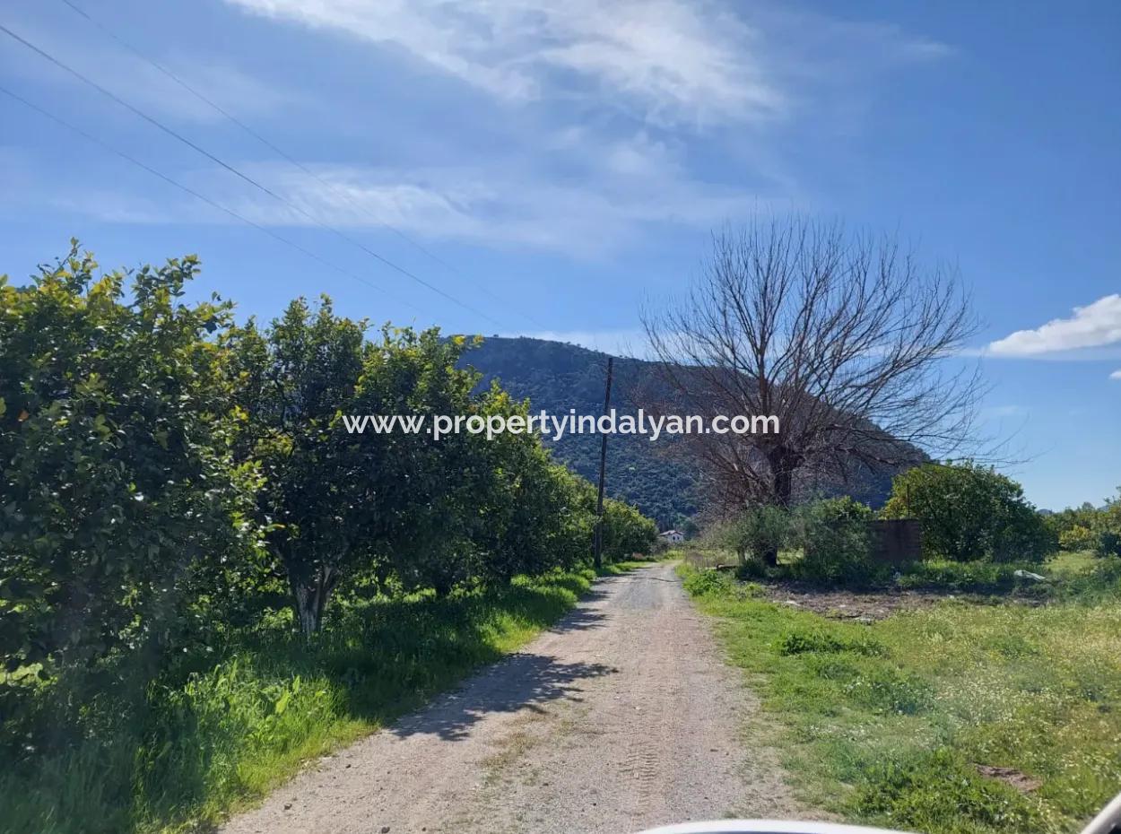 2 300 M2 Land Suitable For Investment In Ortaca Okçular Marmarlı For Sale