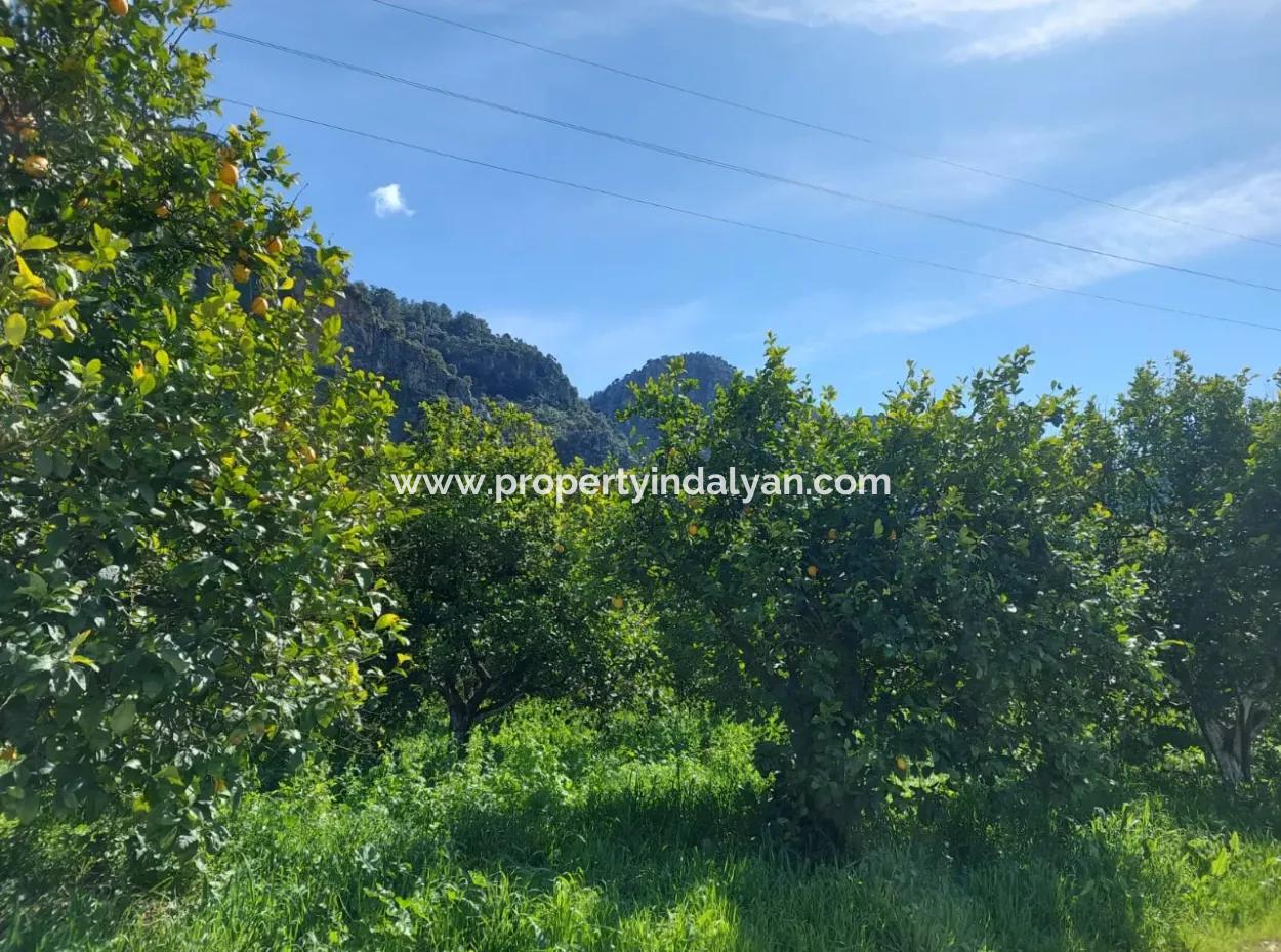2 300 M2 Land Suitable For Investment In Ortaca Okçular Marmarlı For Sale