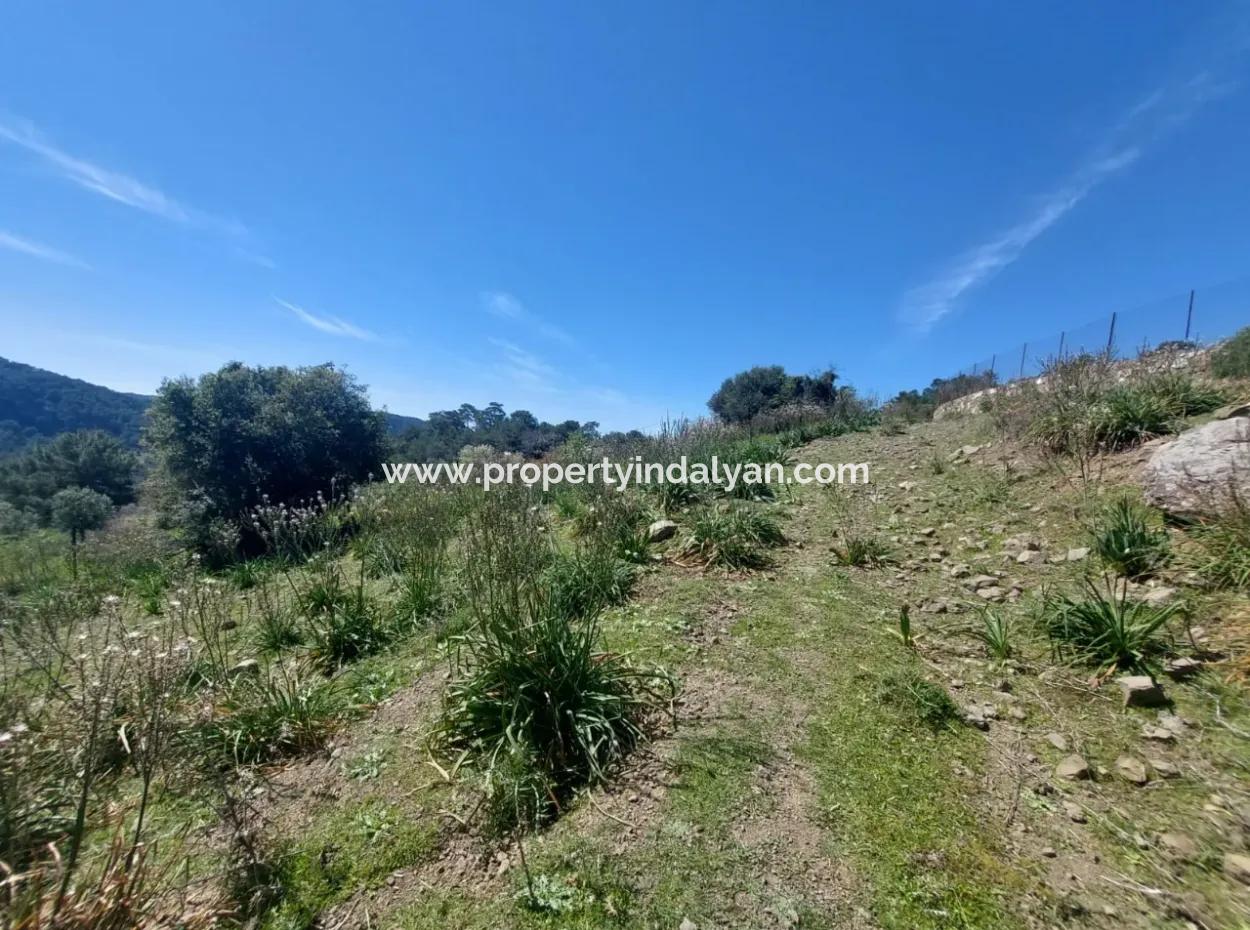 Ortaca Gökbelde Detached 12 132M2 Bargain Land In Nature For Sale