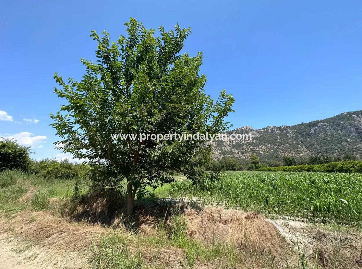 970 M2 Rızai Taksimli Share For Sale In Dalyan