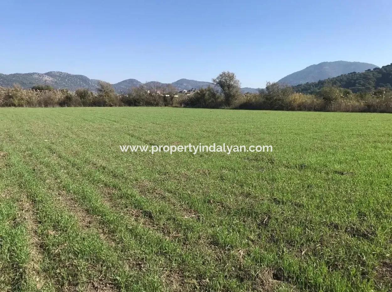 Land For Sale In Dalaman Also Public Works And Water Zero