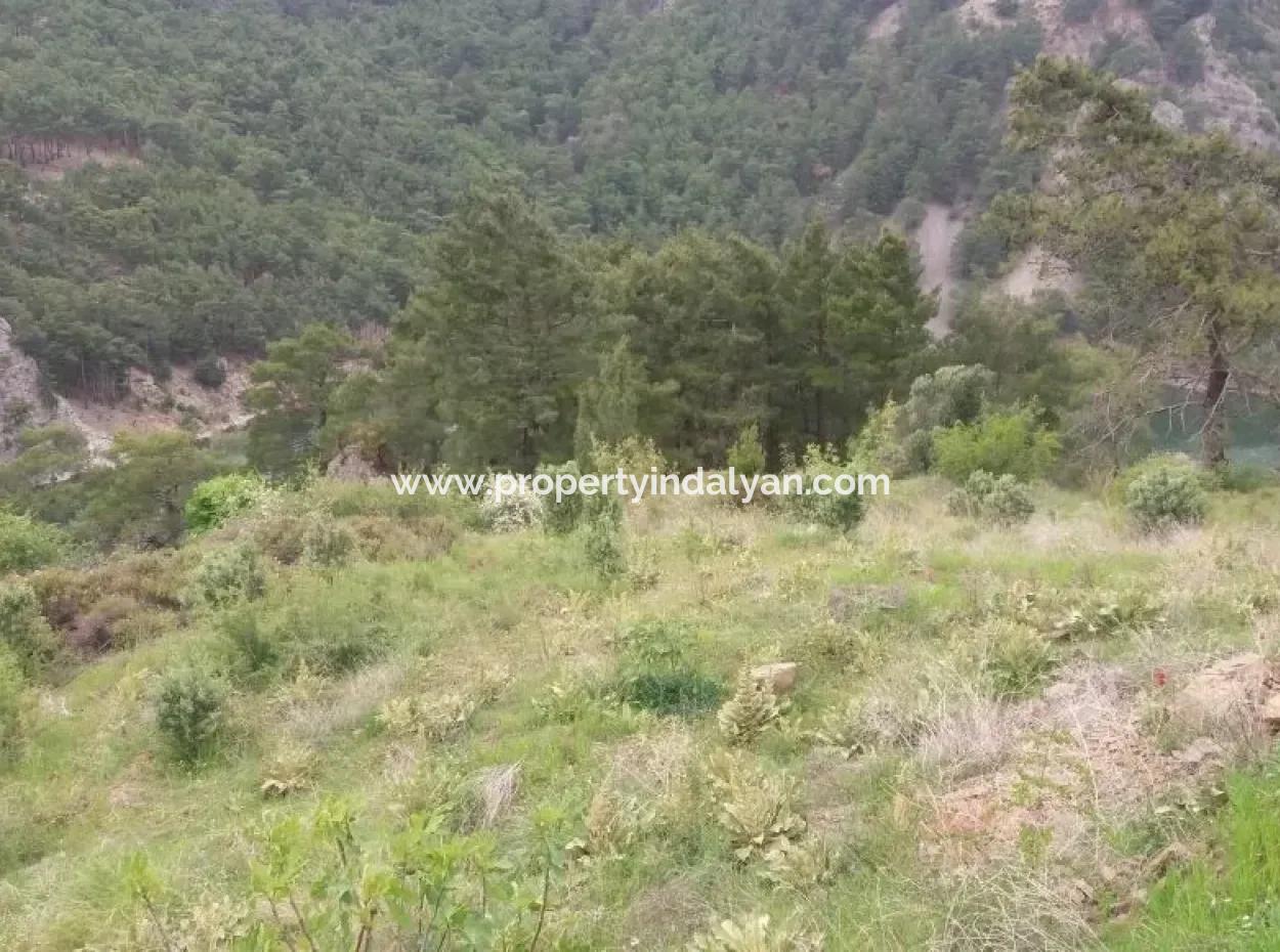 Farmland For Sale In Dalaman Bozbel Also With Views Of The Lake Dam