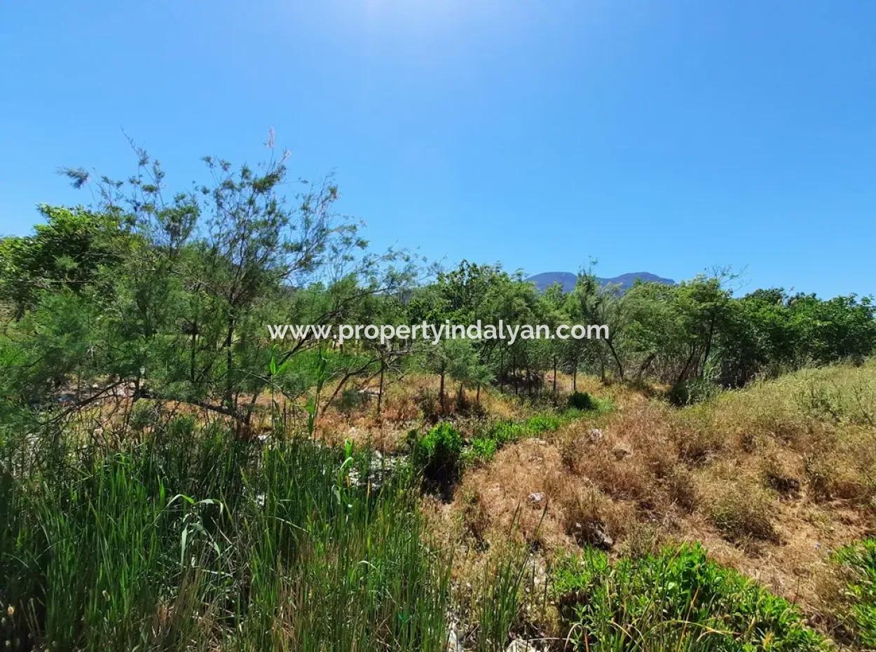 Muğla Ortaca Dalyanda Canal Front 6 500 M2 Land With Title Deed For Sale