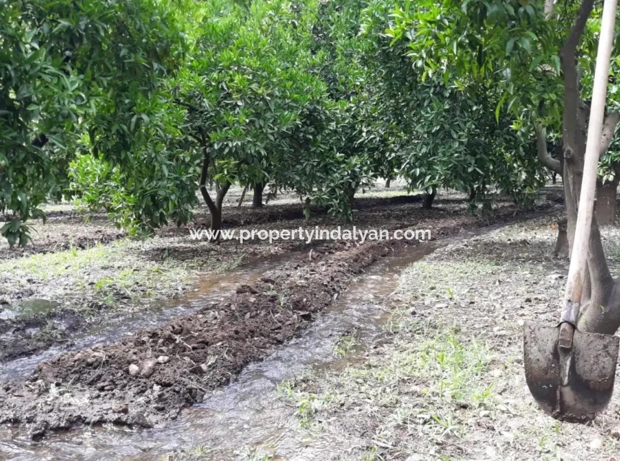 Bargain Village House In The Village Of Koycegiz For Sale