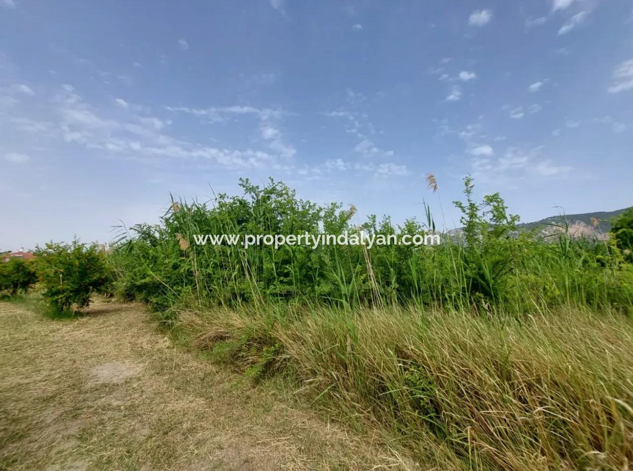 1.500 M2 Detached Field For Sale In Dalyan