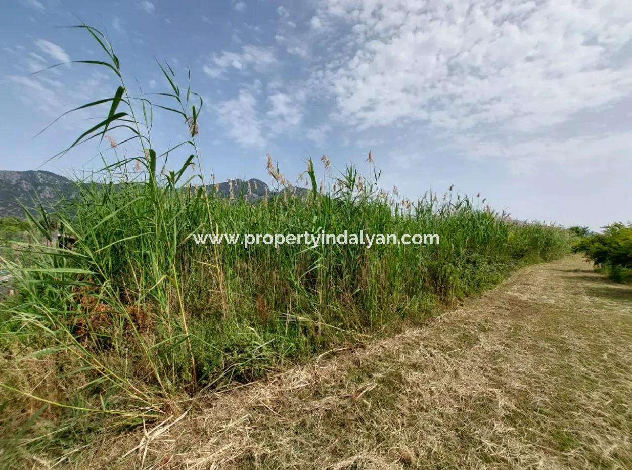 1.500 M2 Detached Field For Sale In Dalyan