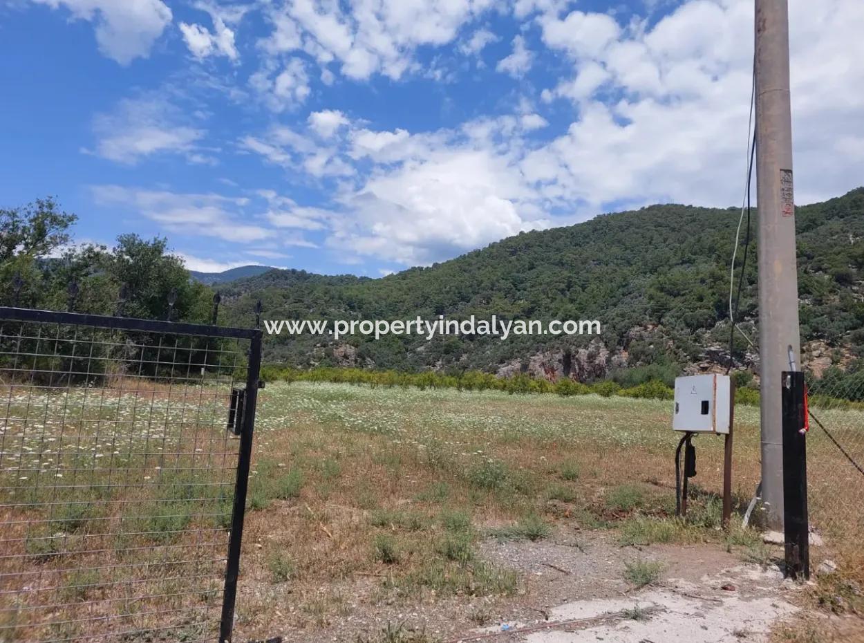 Köyceğiz Çandırda Detached Title Deed 33.800 M2 Field For Sale