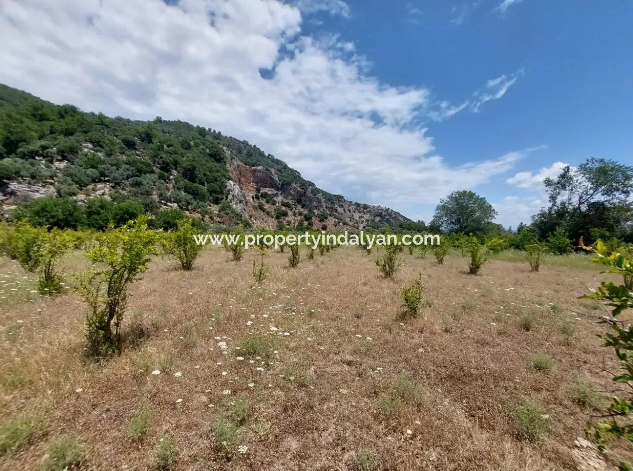 Köyceğiz Çandırda Detached Title Deed 33.800 M2 Field For Sale