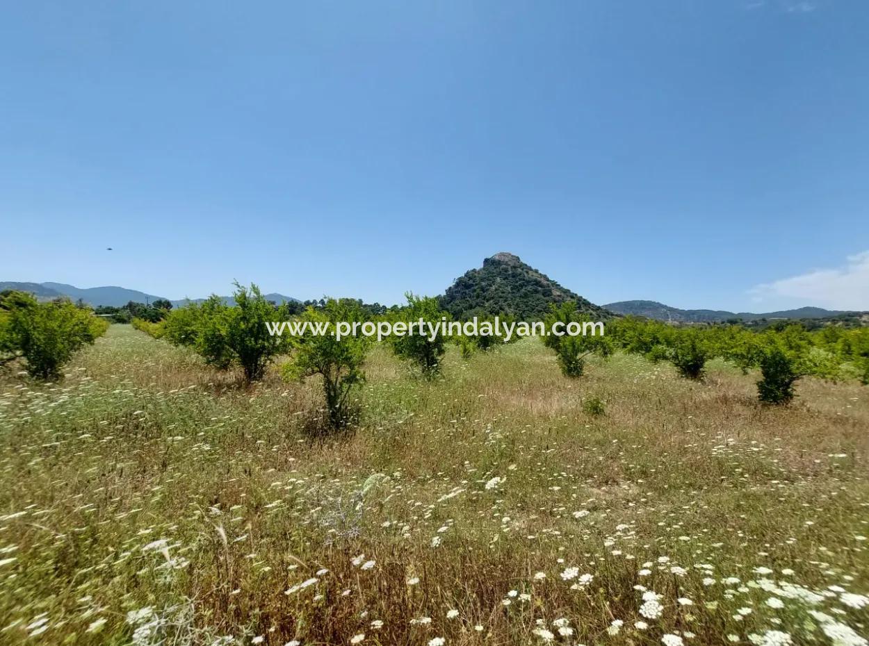 Köyceğiz Çandırda Detached Title Deed 33.800 M2 Field For Sale