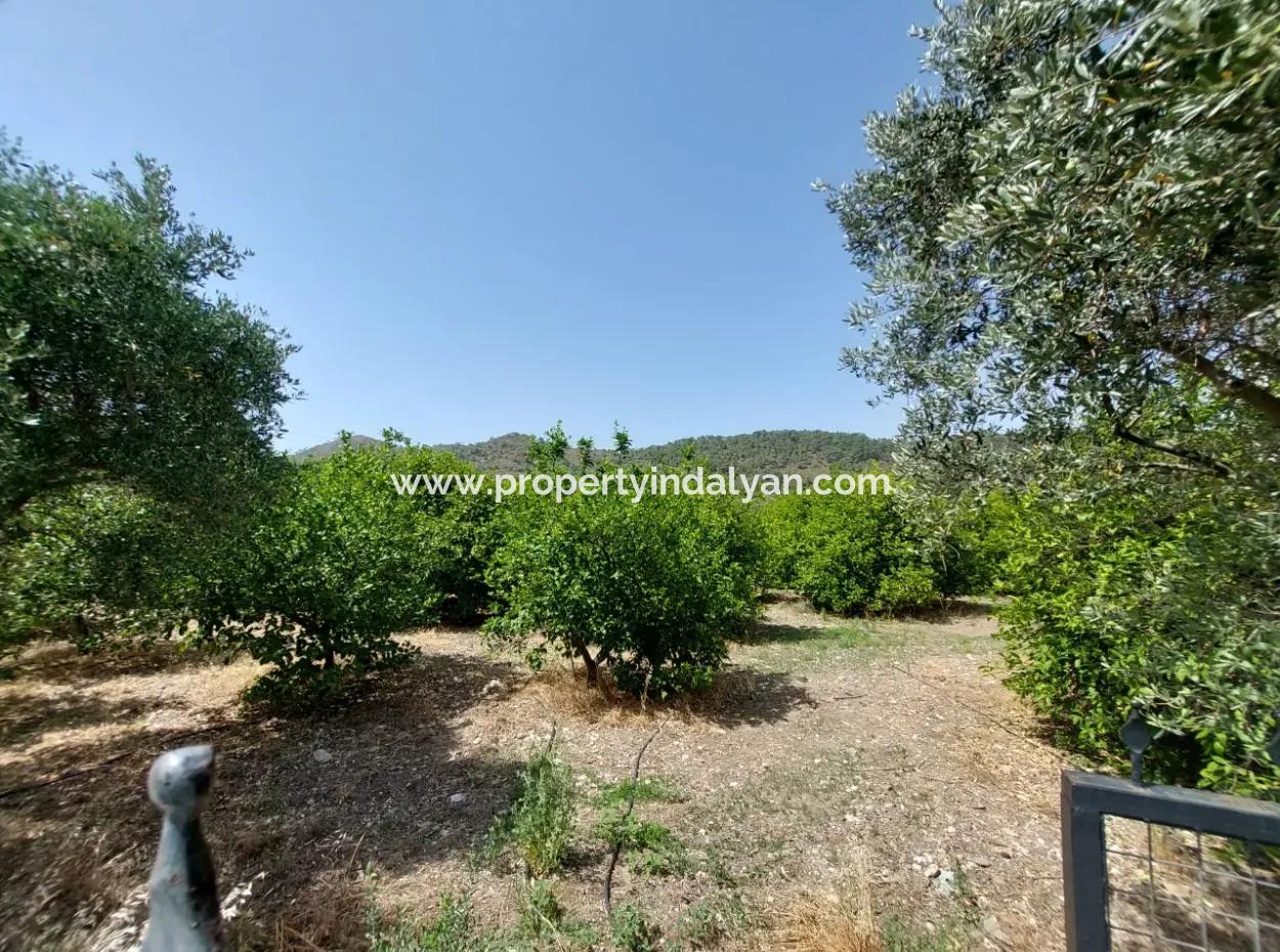 Muğla Ortaca Ekşiliyurtta Residential Zoned Detached 2 000M2 Land For Sale