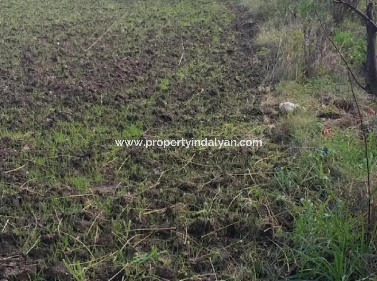 11 450 M2 Field For Sale In Muğla Köyceğiz Köyceğiz Neighborhood