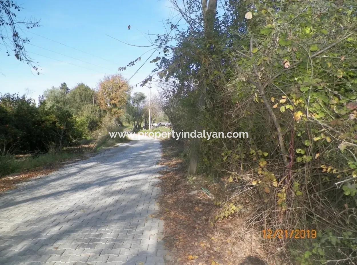 Land For Sale In Bargain Detached Zeytinalani