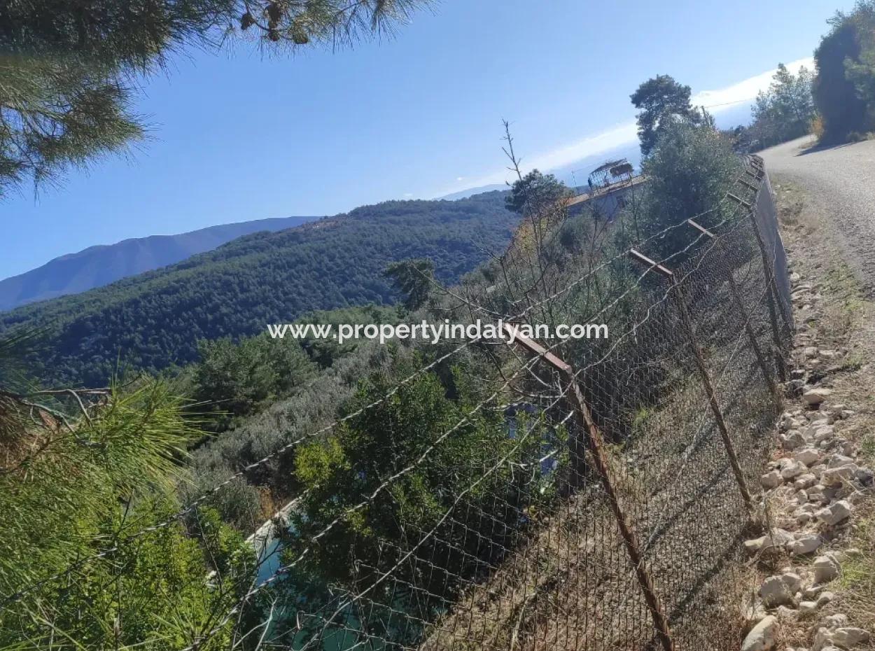 120 M2, 3 1 Single Storey House For Sale On 8500 M2 Land With Sea And Nature View In Antalya Finike Alacadağ