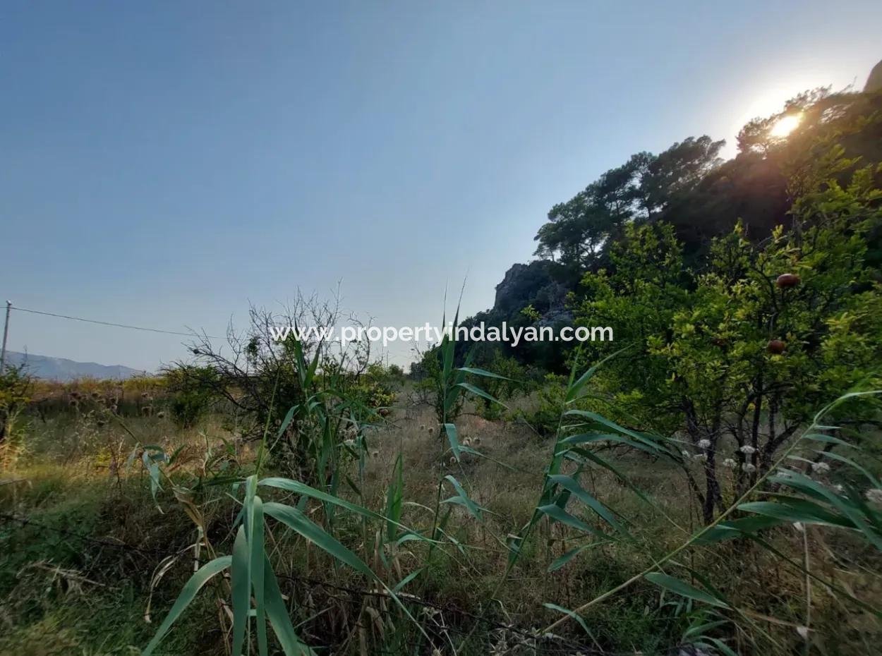 Single Storey House For Sale On 15 000 M2 Detached Land Close To Dalyan Canal In Köyceğiz Çandırda