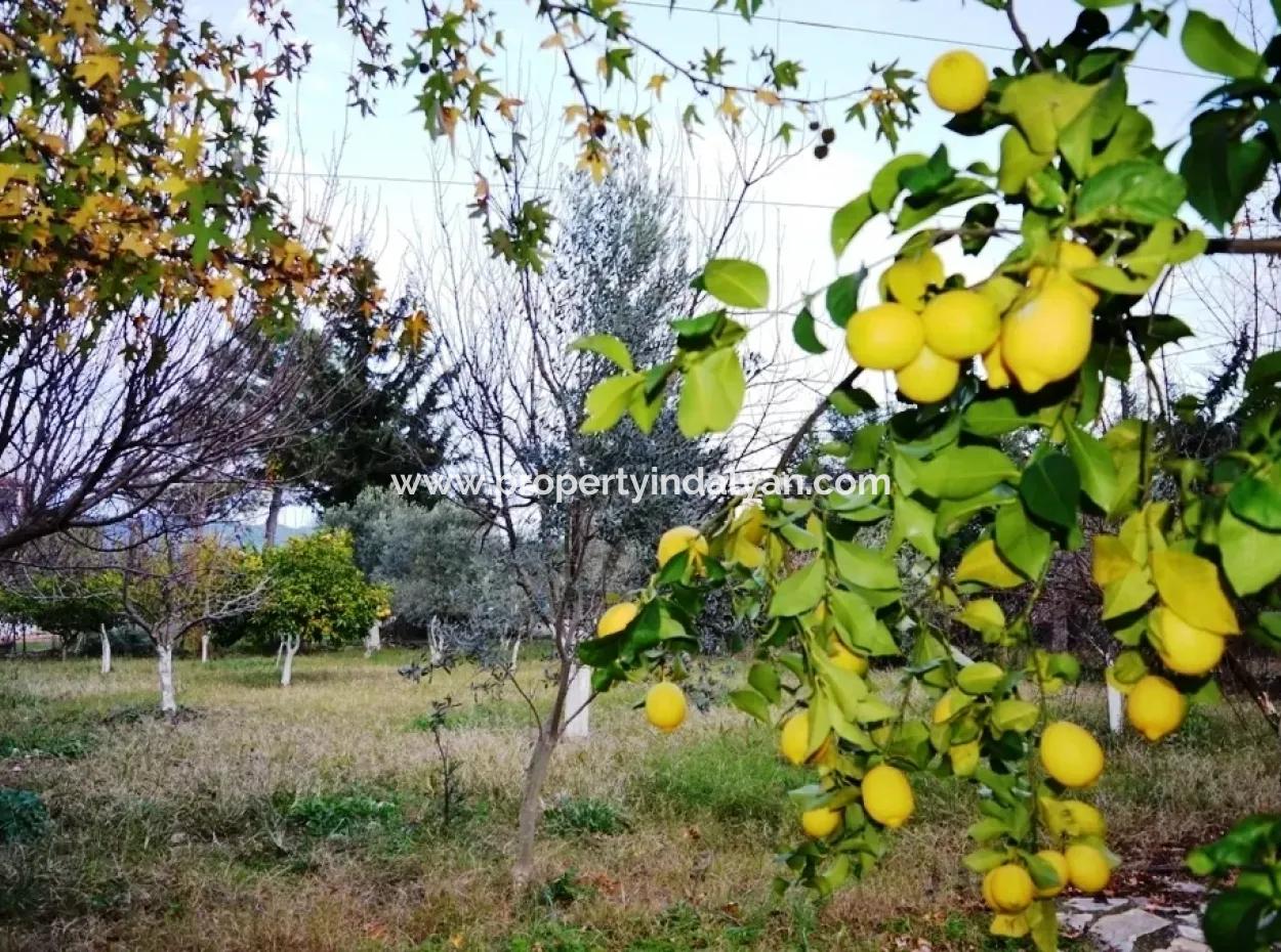 Detached Duplex With Lake View For Sale At Zeytinalani