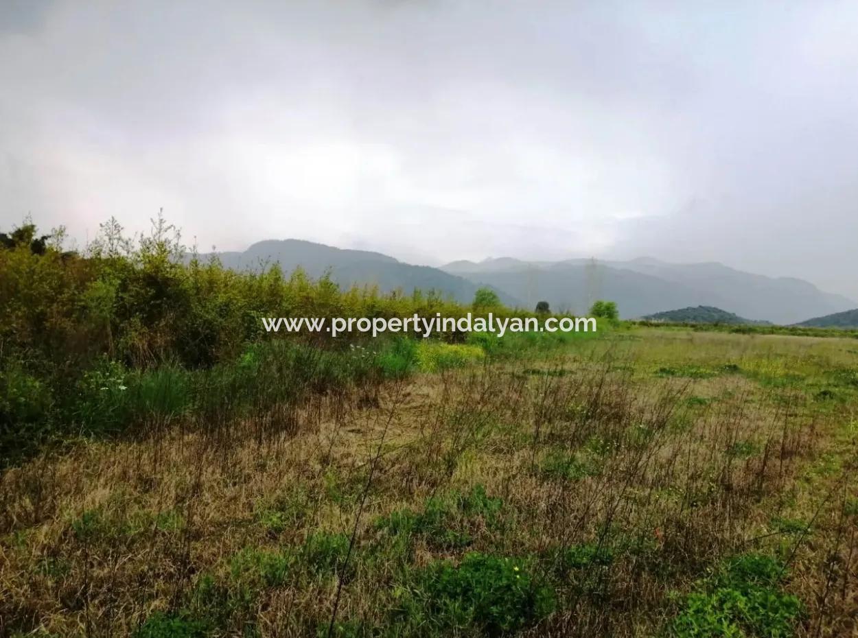 Güzelyurt For Sale Landscaped Gardens Pomegranate Ta