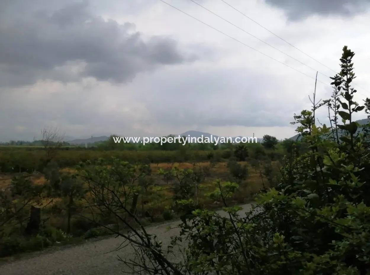 Güzelyurt For Sale Landscaped Gardens Pomegranate Ta